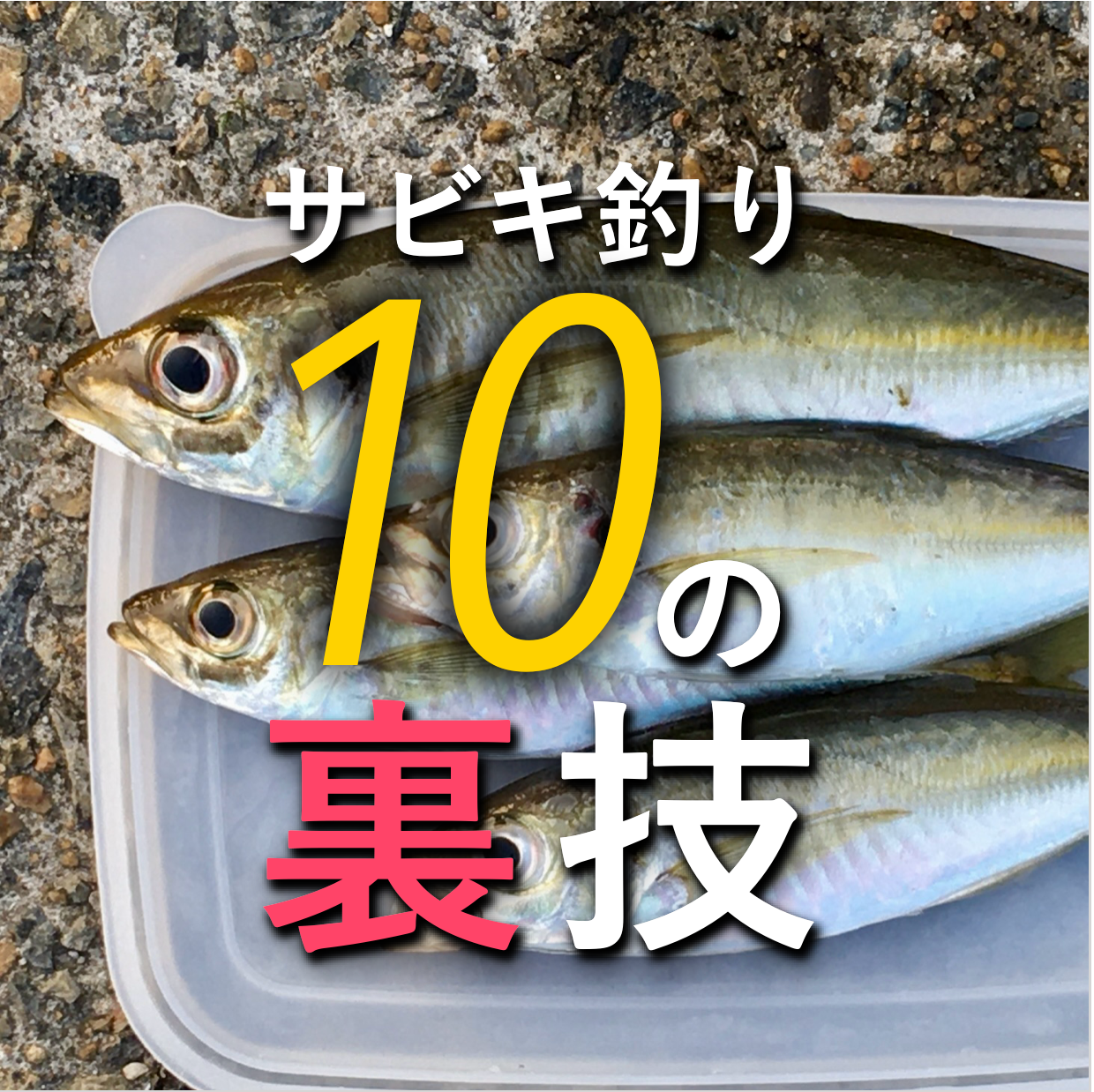 サビキ釣り裏技